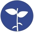 Bluefield Logo